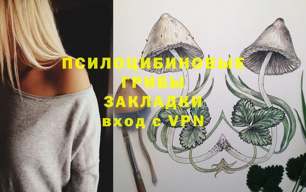 трава Аркадак