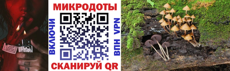 Галлюциногенные грибы MAGIC MUSHROOMS  OMG tor  Нижний Ломов  цены  